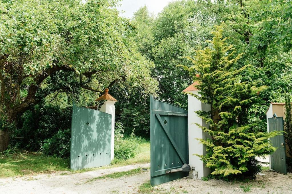 Ferienwohnung In Der Villa Sana Mit Grossem Garten Rofingen Eksteriør billede